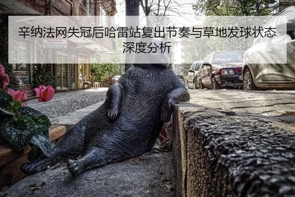 辛纳法网失冠后哈雷站复出节奏与草地发球状态深度分析